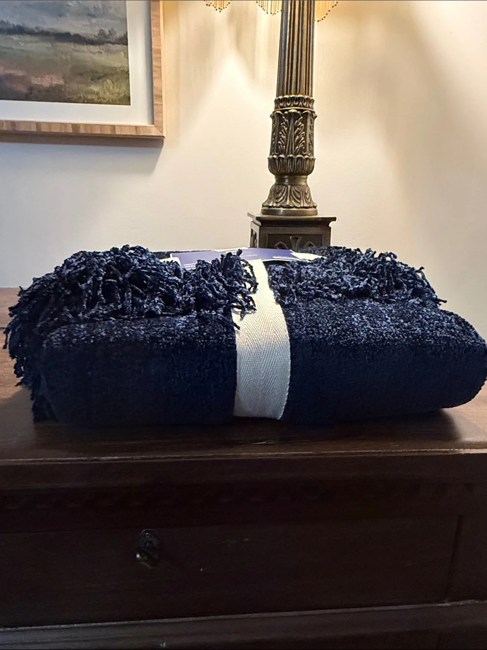 Pier 1 Navy Chenille Throw with Fringe